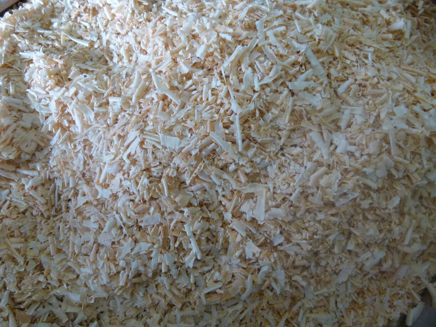 Fadge Full of Fine Untreated Wood Shavings