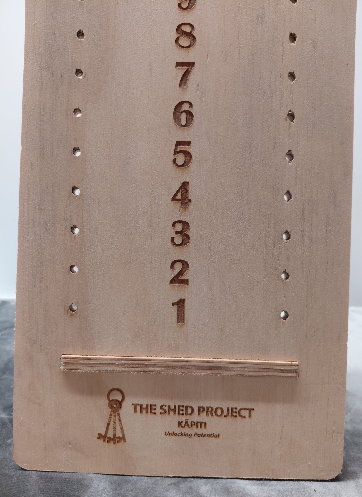 Cornhole Toss Scoreboard