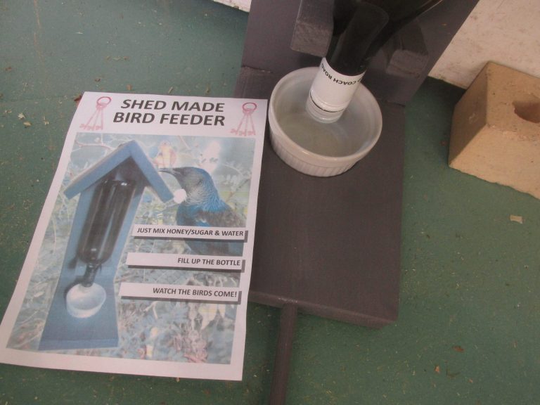 Tui Feeder