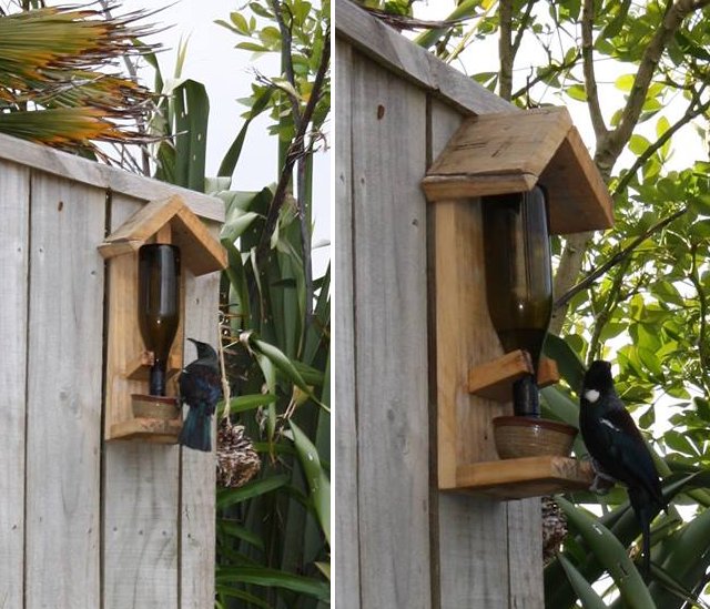 Tui Feeder